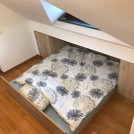 Apartma Kiki 公寓 博希尼