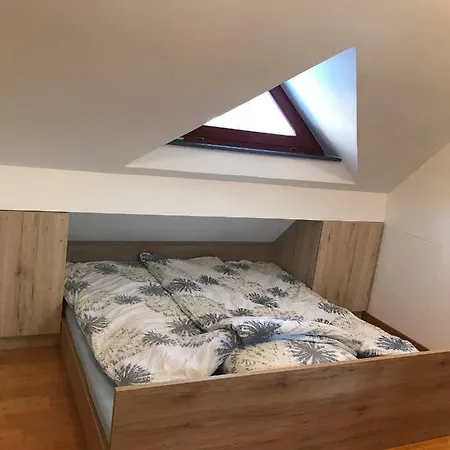 Apartma Kiki * 보히니