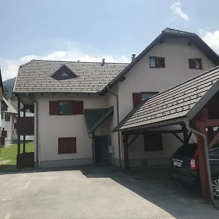 Apartma Kiki 公寓 *