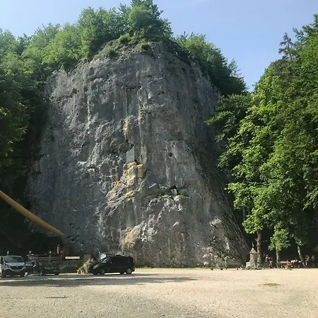 Apartma Kiki 아파트 보히니